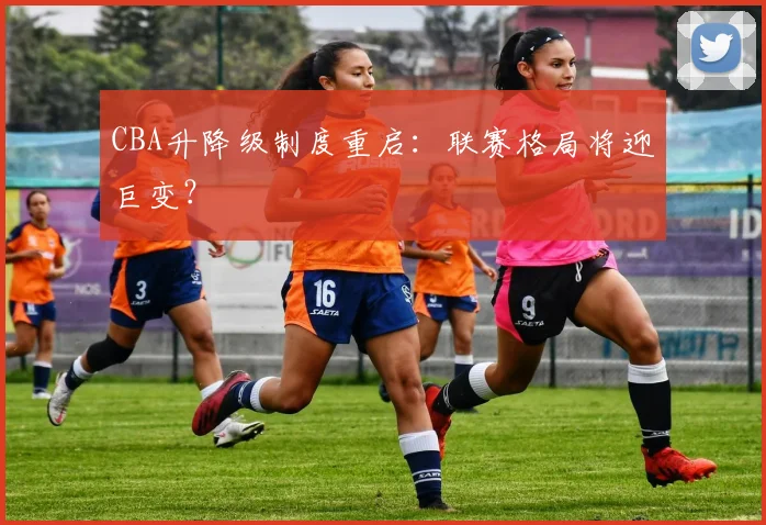 CBA升降级制度重启：联赛格局将迎巨变？